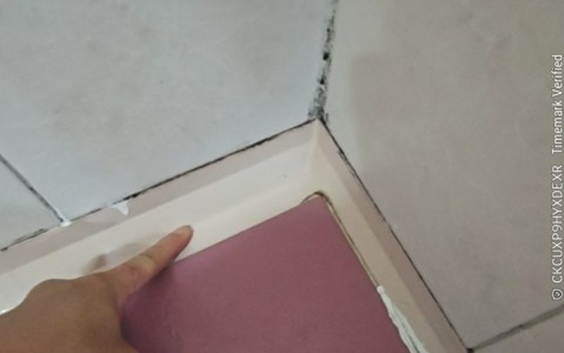 사고 현장 사진
